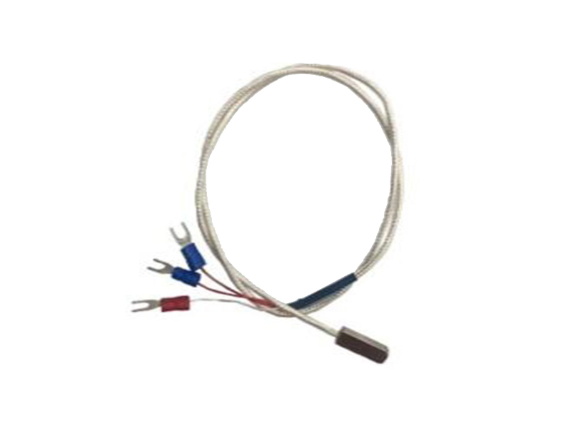 RTD temperature sensor